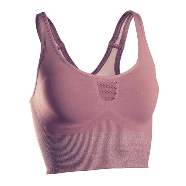 Seamless Long Dynamic Yoga Sports Bra - Plum/Silver